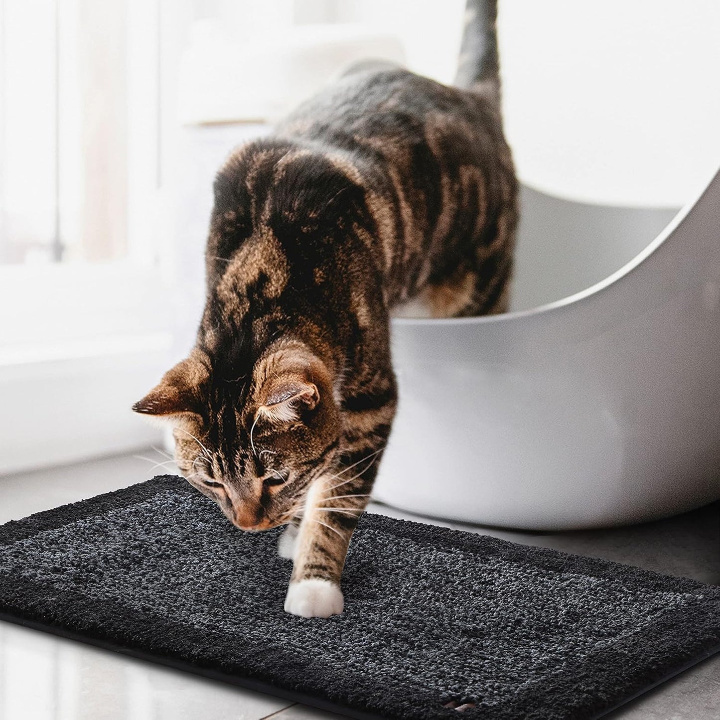 KashyapaRugs Premium Black Multi Colour Doormat