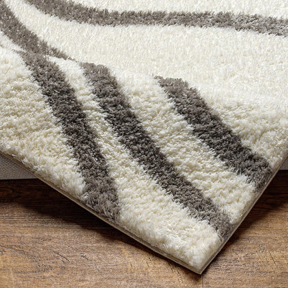 Luxury Area Rugs Microfiber Handmade Loom Tufted Bouton Shag Ivory Living Area Rug
