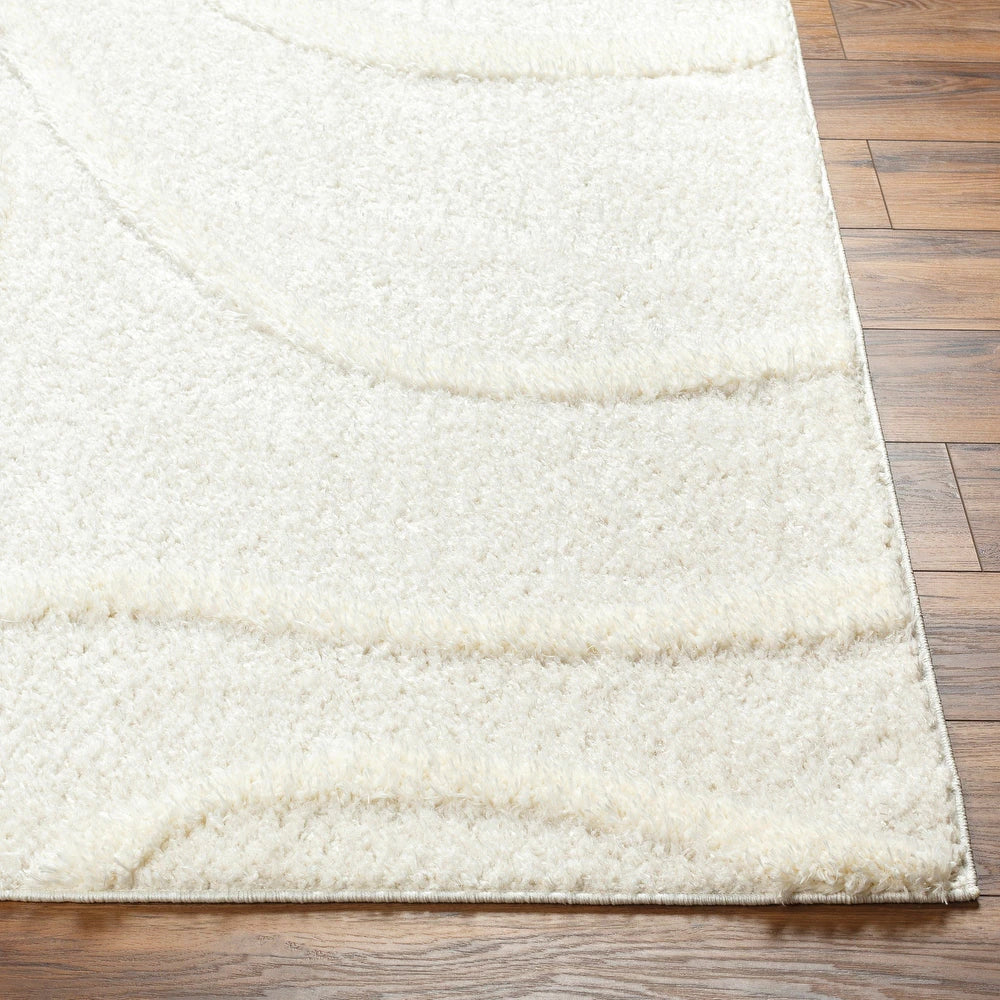 Kashyapa Rugs Collection - Modern hand tufted Woven Area Rug Microfiber Shaggy Carpet for Living & Bedroom Room