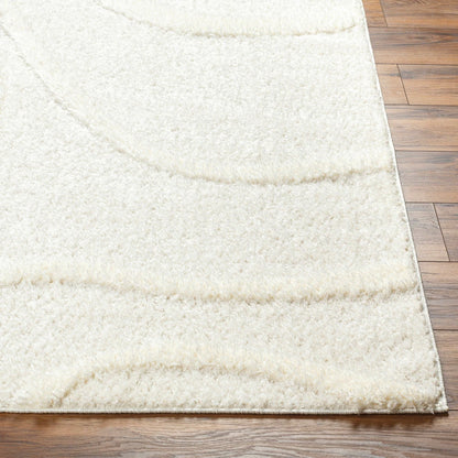 Modern hand tufted Woven Area Rug Microfiber Shaggy Carpet for Living & Bedroom Room