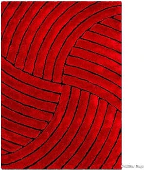 Luxury Hand-tufted 3D Shag Rug high Density Modern Stylish Carpets for Living and Bed Room.