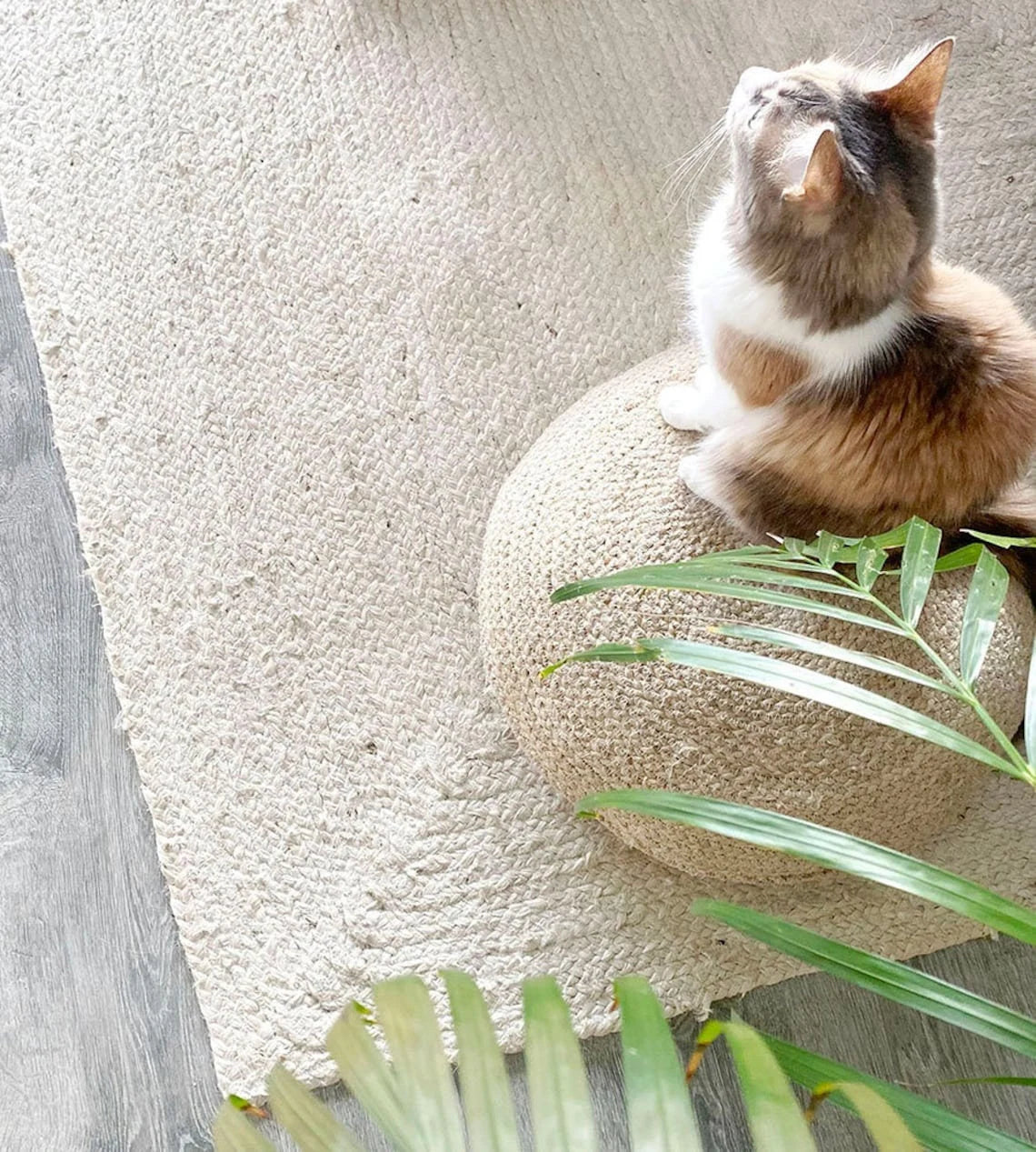 Handwoven Minimal Rug with Soft Natural Texture